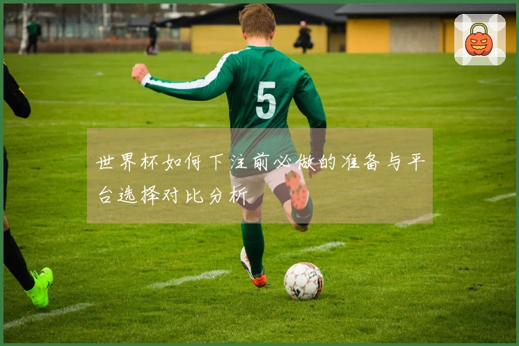 世界杯如何下注前必做的准备与平台选择对比分析
