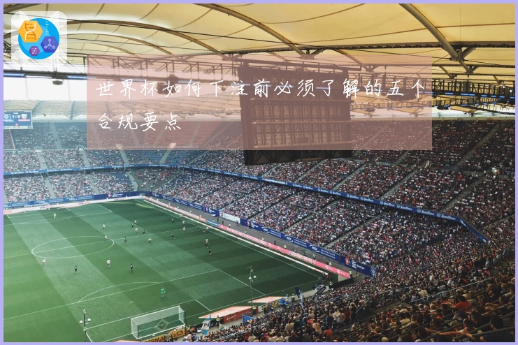 世界杯如何下注前必须了解的五个合规要点