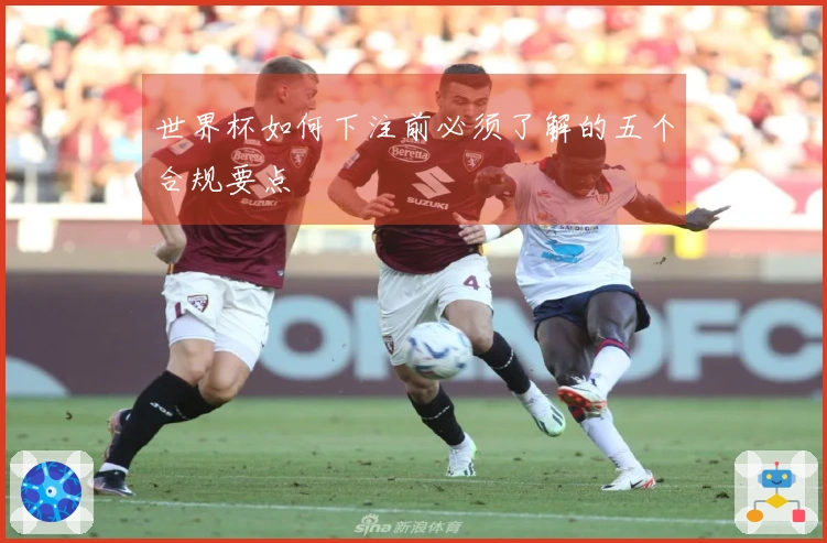 世界杯如何下注前必须了解的五个合规要点